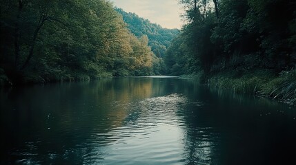Fototapeta premium Serene River in Lush Forest: A Tranquil Nature Escape