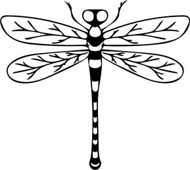 dragonfly vector illustration on with white background 