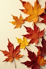Fototapeta premium Dried and colorful fall leaves on a plain background, plants, botanical