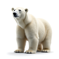 bear walking on a white background