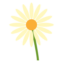 Daisy Blossom: A single, exquisite daisy, rendered in a vibrant cartoon illustration, stands gracefully. The yellow center, surrounded by radiant white petals, conveys purity and delicate beauty.