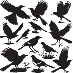 Fototapeta premium A Dance of Wings
