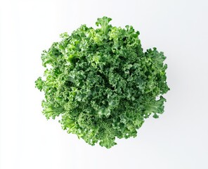 Obraz premium Fresh kale head, vibrant green leaves