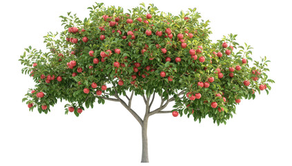a lush apple tree laden with ripe red apples showcasing its vibrant leaves and healthy growth symbolizing abundance and nature's bounty