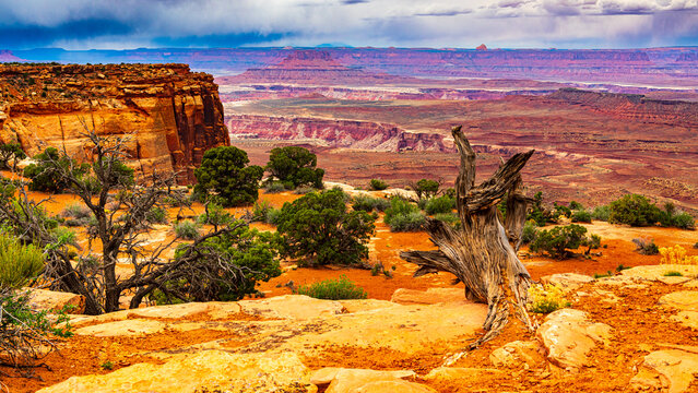 Beeindruckender Canyonlands Nationalpark