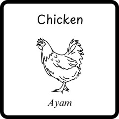 Animals Coloring E Book for Kid - chicken or ayam