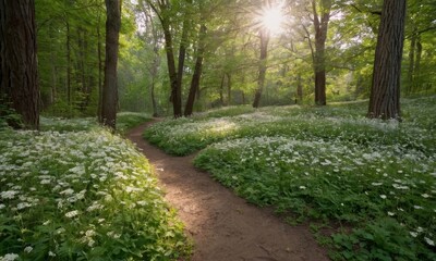 Obraz premium Enchanting woodland path with blooming wildflowers and sunlit trees