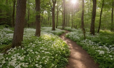 Obraz premium Enchanting Forest Path with Wildflowers and Sunlit Canopy Creating a Serene Landscape