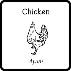 Animals Coloring E Book for Kid - chicken or ayam