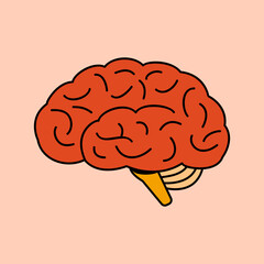 Brain