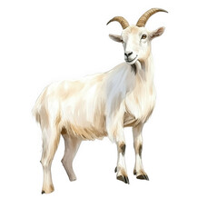 Fototapeta premium standing goat on a rock showcasing its features and posture in a naturalistic style