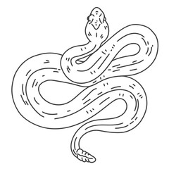 Fototapeta premium Serpentine Silhouette: An elegant illustration of a snake, artfully rendered in clean lines, conveying a sense of subtle danger and primal allure.