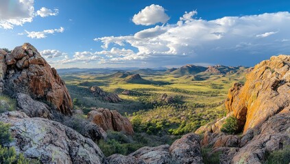 Obraz premium Panoramic vista of a rocky landscape. A high vantage point reveals a valley filled with grasslands, sparse trees, and rocky outcrops. Dramatic clouds and sunlight illuminate the scene