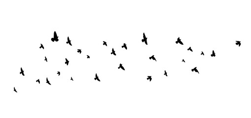 Flying birds silhouette flock. hand drawing. Not AI. Vector illustration.