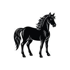 Obraz premium Beautiful horse vector art illustration