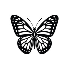 Monarch butterfly vector art illustration