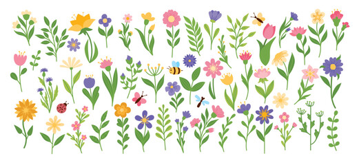 Big set with flowers and butterflies