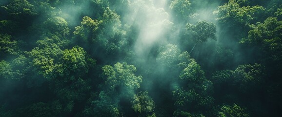 Naklejka premium Aerial perspective of a misty forest canopy with sun rays shining through