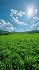 Fototapeta premium Sunny meadow landscape with hills, bright sky