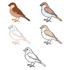 Sparrow Bird Design Illustration Clipart Eps