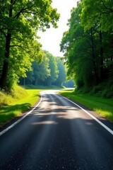 Fototapeta premium Serene Winding Road Through Lush Green Canopy of Trees on a Sunny Day