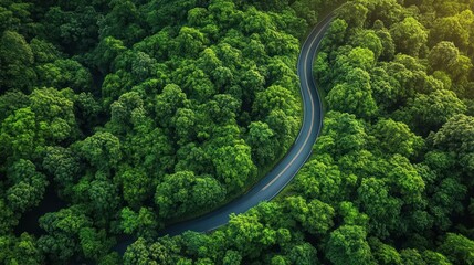 Aerial view of a winding road through dense forest and vibrant green foliage surrounded by mountains