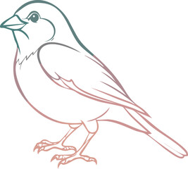 Sparrow Bird Design Illustration Clipart Eps
