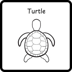 Animals Coloring E Book for Kid - turtle (3)
