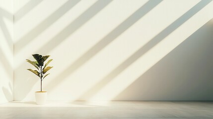 Journalism Excellence Trophy for Investigative Reporting displayed in a newsroom, symbolizing integrity and dedication, highlighting achievements in media integrity and commitment