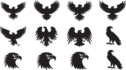 Obraz premium Set of eagle wings vector illustration