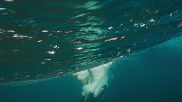 Surfer falls in the water. Rider surfs the wave in the Maldives and falls.