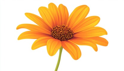 Naklejka premium Vibrant Orange Daisy Flower on White Background