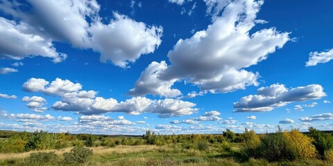 Peaceful Blue Sky with Fluffy Clouds Over Green Fields