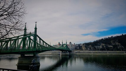 Fototapeta premium metal liberty bridge in budapest