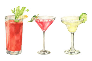 Set of watercolor cocktails glass illustrations. Bloody mary, cosmopolitan, margarita Elements for bar menu, packaging and posters