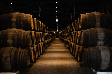 Rows of Wooden Barrel in a Wine Cellar