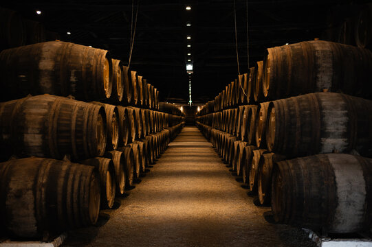 Rows of Wooden Barrel in a Wine Cellar