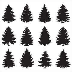 Fototapeta premium set vector fir trees silhouette