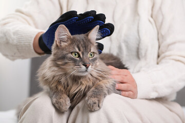 Woman brushing her cat with grooming glove indoors, closeup