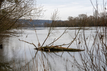 Reflections on the tranquil waters of La Roche-Guyon, revealing nature's serene beauty amid the changing seasons