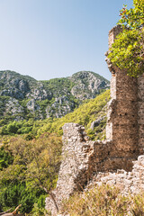 Ancient ruins of city Olympus surrounded by lush greenery and rocky Mediterranean mountains