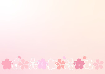 桜の背景イラスト
