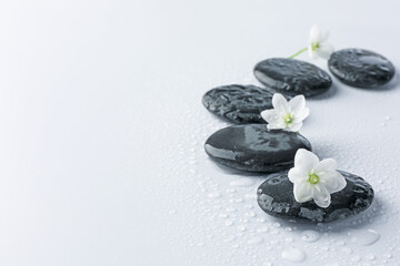 Wet spa stones and beautiful flowers on white background, closeup. Space for text