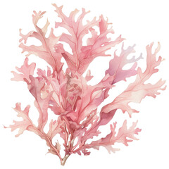 Naklejka premium Delicate pink coral composition an underwater botanical art scene from a close perspective