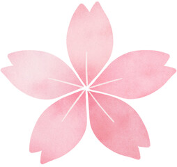 Sakura Message Card Cute illustration with transparent background © Yamamin