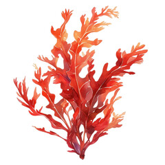 Exploring vibrant red seaweed species coastal waters illustration underwater artistic perspective