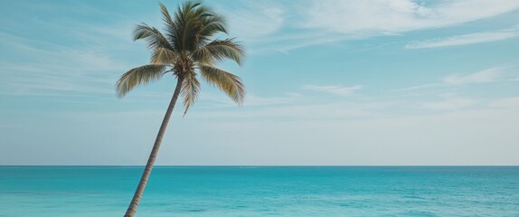 A blue ocean with a palm tree in the foreground