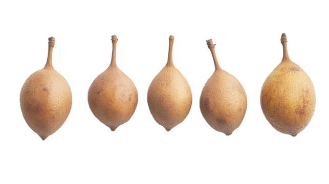 Longan fruit varieties displayed neatly in natural setting close-up view capturing their unique shapes