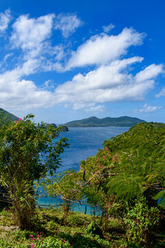 View on Ile de Cabrit island in the Caribbean