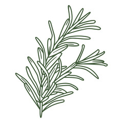 anzac day single stem stroke.